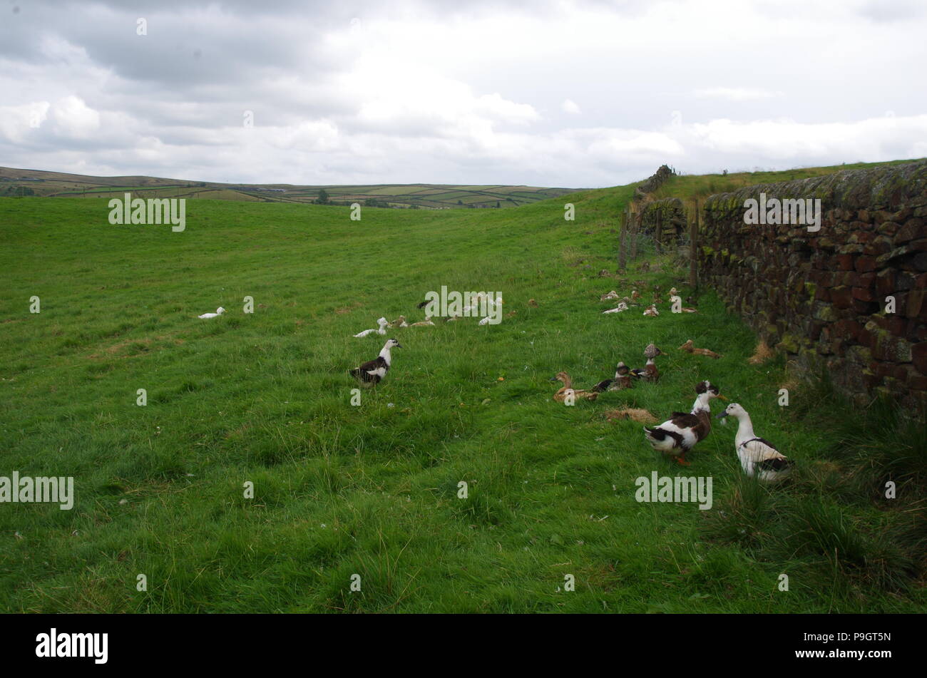 Steeton. John o' groats (Duncansby head) to lands end. End to end trail