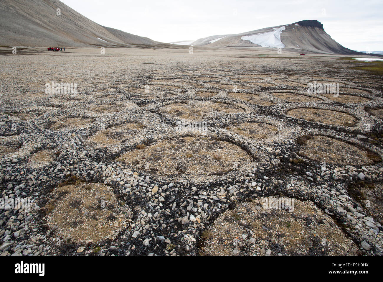 Natural Stone Circles Caused By Cryoturbation in a Polar Desert. Zeipelodden, Svalbard Stock Photo