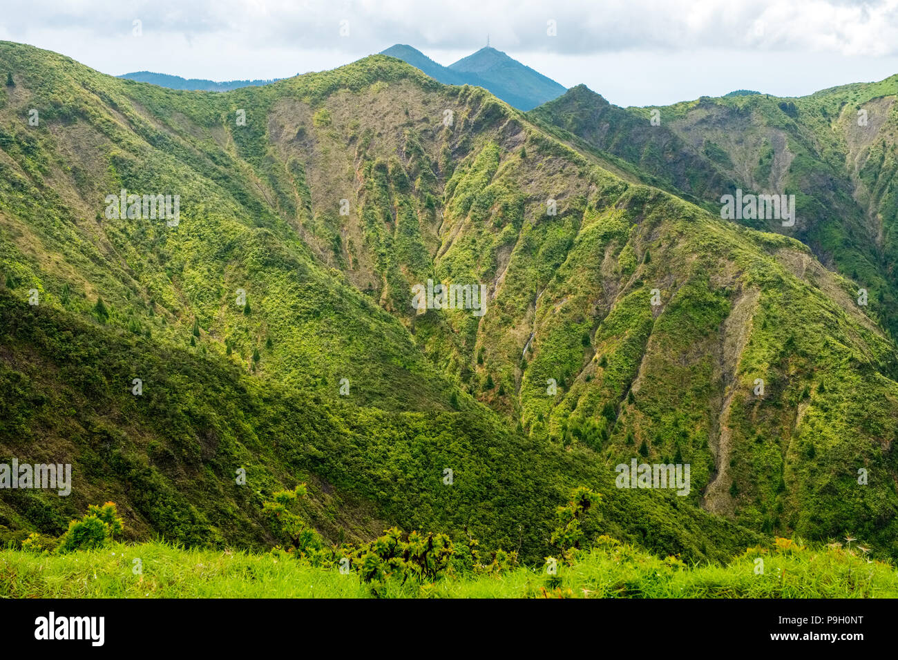 Female walker on The slopes of Pico da Vara, the highest point on Sao  Miguel, Azores Stock Photo - Alamy