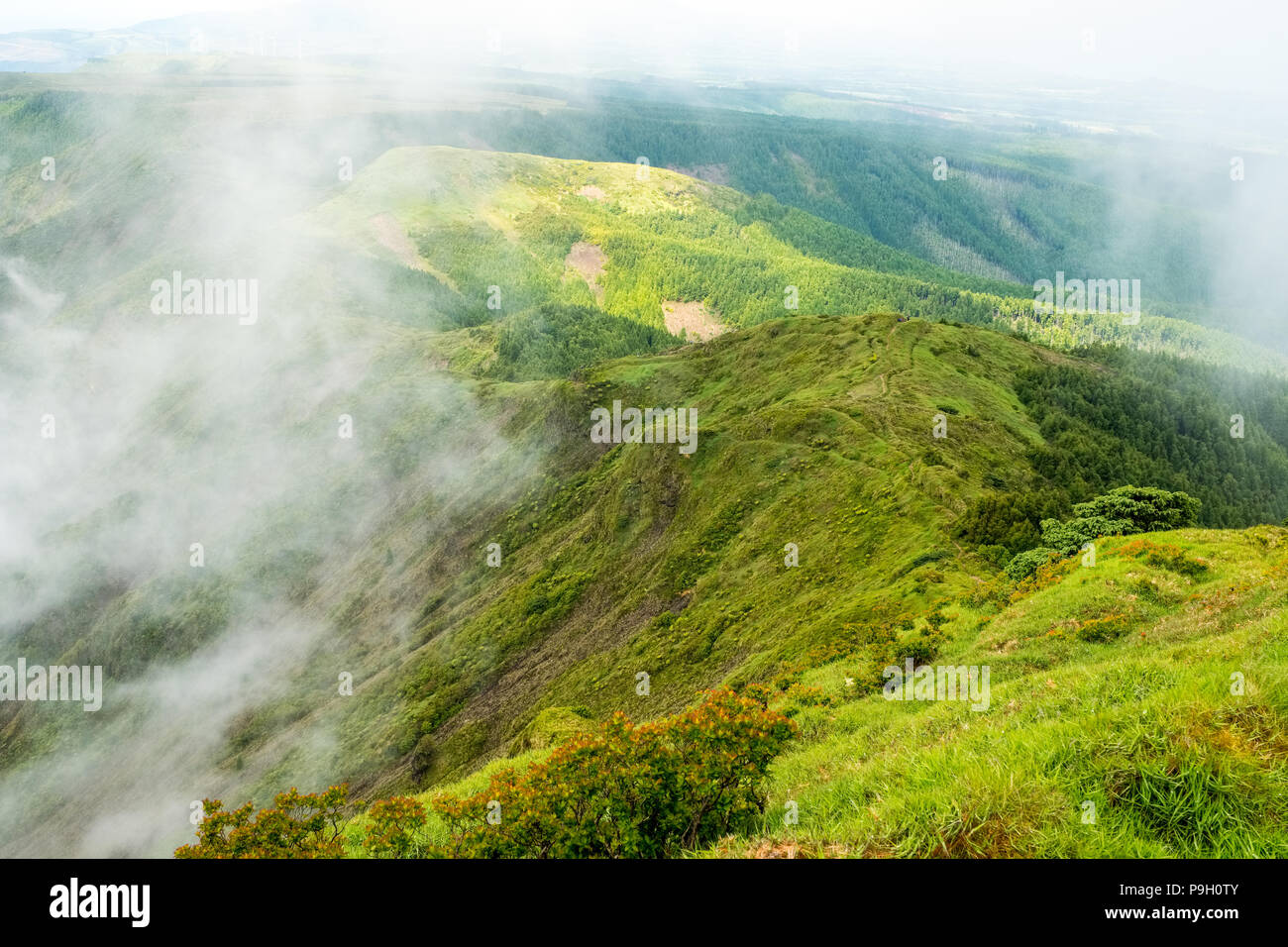 The slopes of Pico da Vara, the highest point on Sao Miguel, Azores Stock  Photo - Alamy
