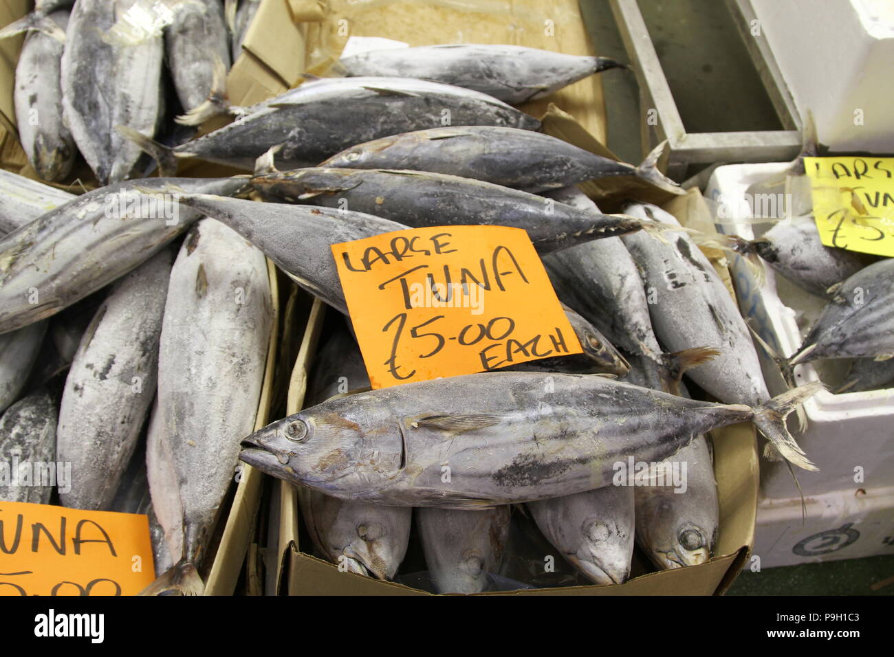 Fish. Fish market. Fish food. Fish for sale in Billingsgate fish market
