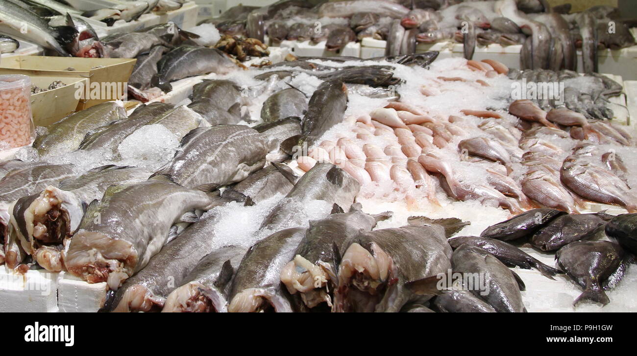 Fish. Fish market. Fish food. Fish for sale in Billingsgate fish market