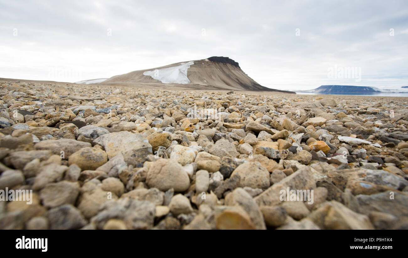 A Polar Desert, Zeipelodden, Svalbard Stock Photo