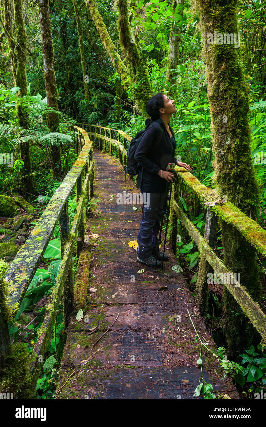 Nature tourist on one of the trails in the cloudforest of La Amistad  national park, Chiriqui province, Republic of Panama Stock Photo - Alamy