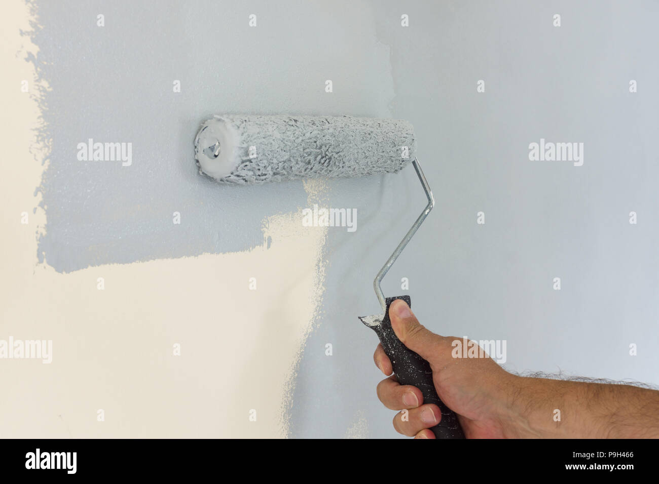 Painting and decorating an interior wall with a roller and modern light grey paint Stock Photo