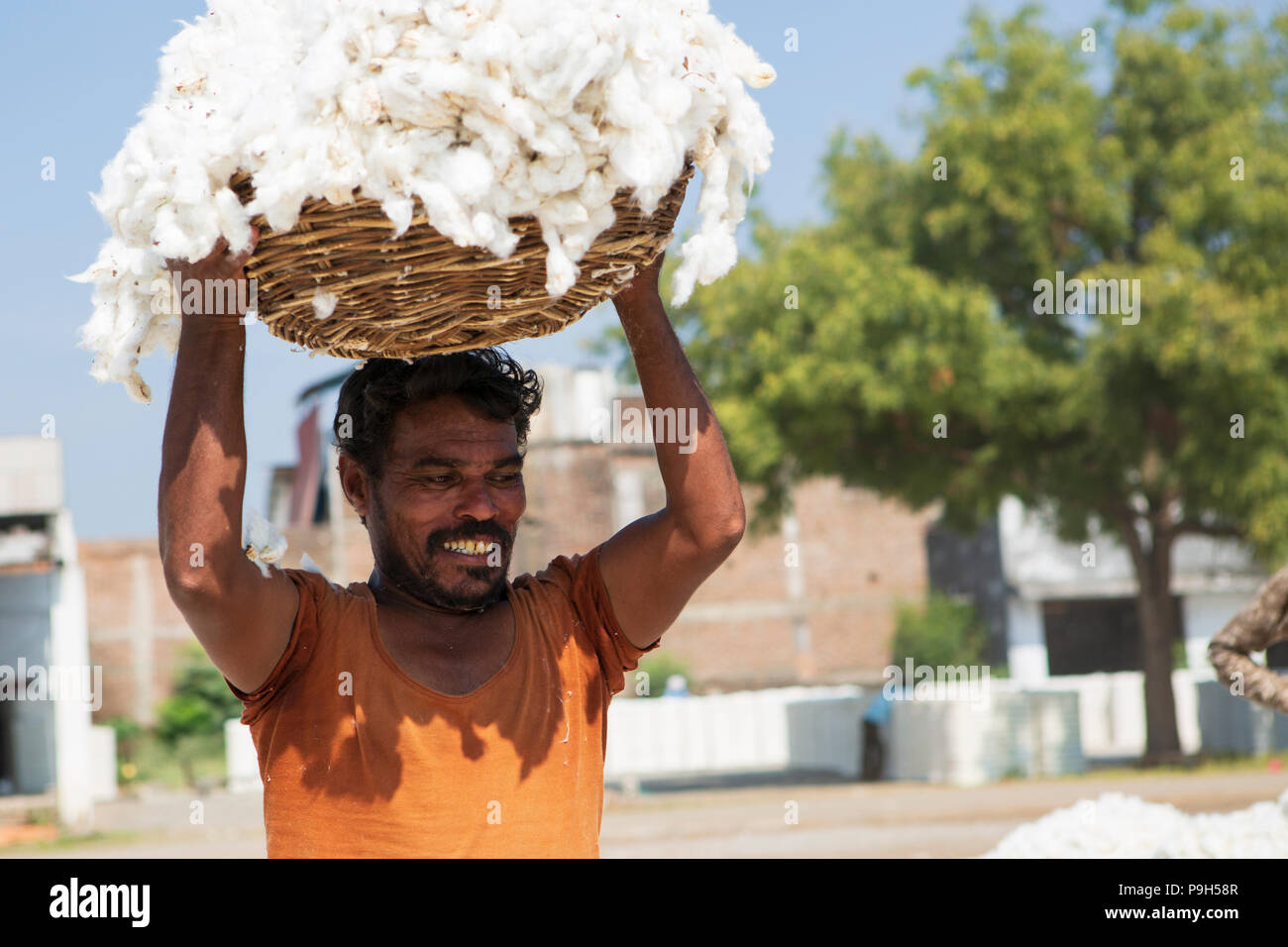 A man carrying a basket of organic cotton above his head at the cotton  ginners in Madhya Pradesh, India Stock Photo - Alamy