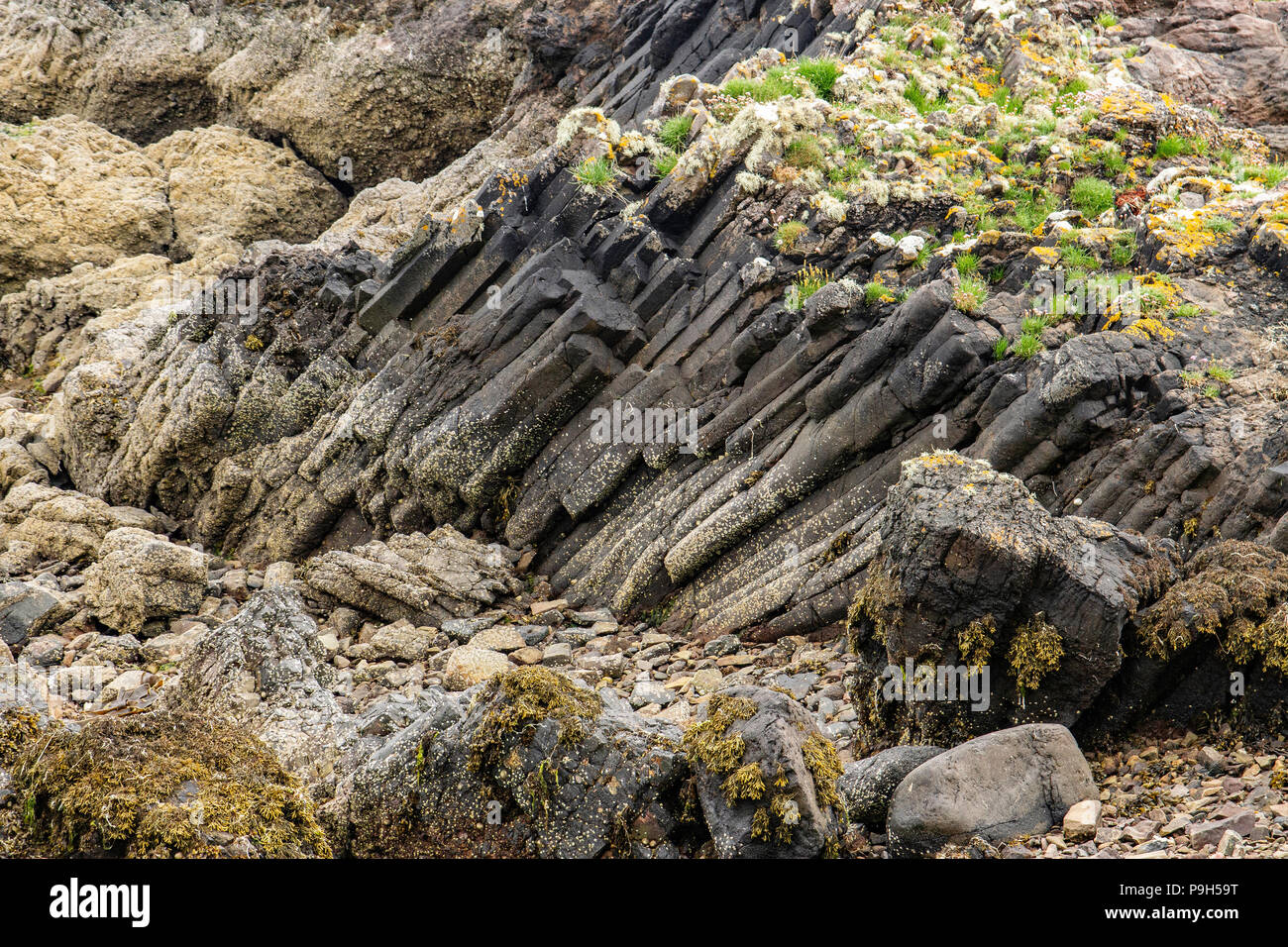 The Organ Pipes at Kilchattan on the Isle of Bute in Scotland are compressed and heated sandstone rather than basalt. Stock Photo