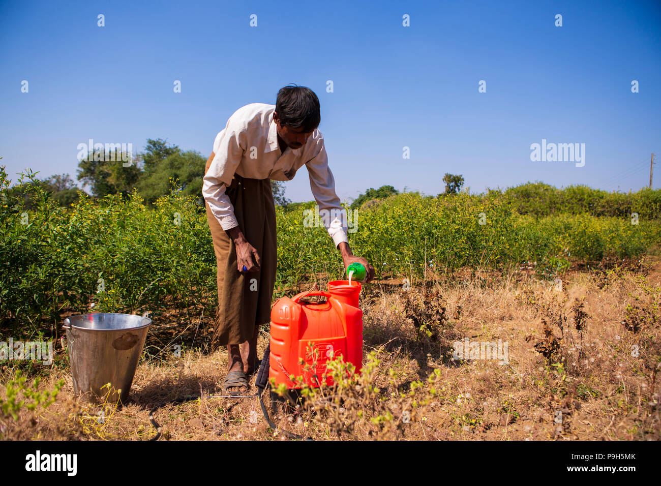 A farmer spraying organic pesticide on his cotton crop Stock Photo - Alamy