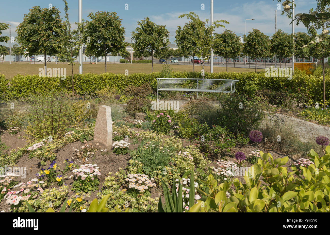The reflections on the Tay pocket garden in Slessor Gardens is part of