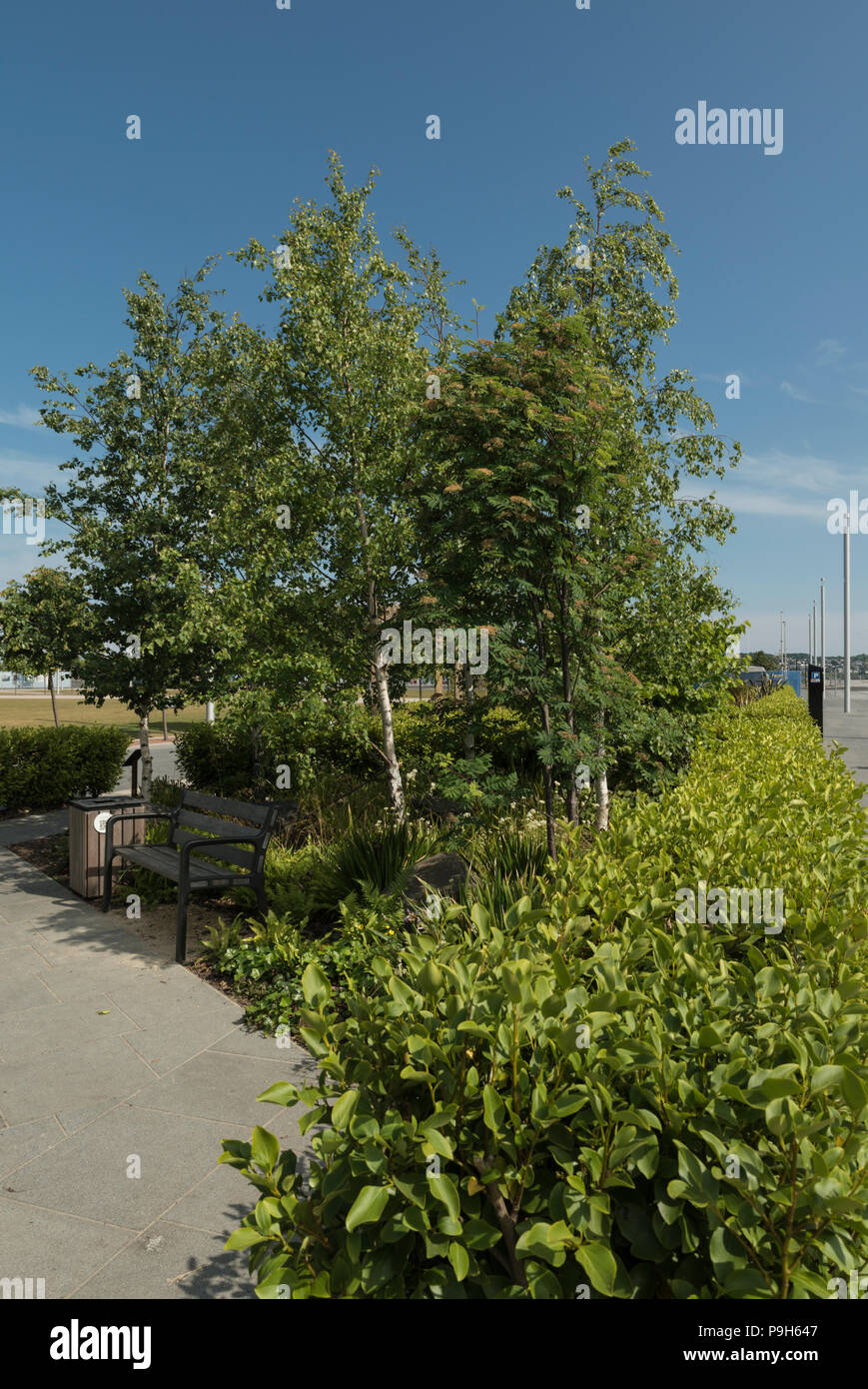 The Baltic connections pocket garden, in Slessor Gardens, is part of the Dundee Waterfront development scheme, Dundee, Scotland, UK. Stock Photo