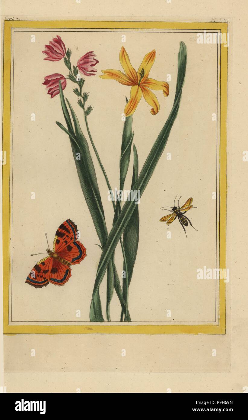 Fleurs Jaunes Stock Photos Fleurs Jaunes Stock Images Alamy