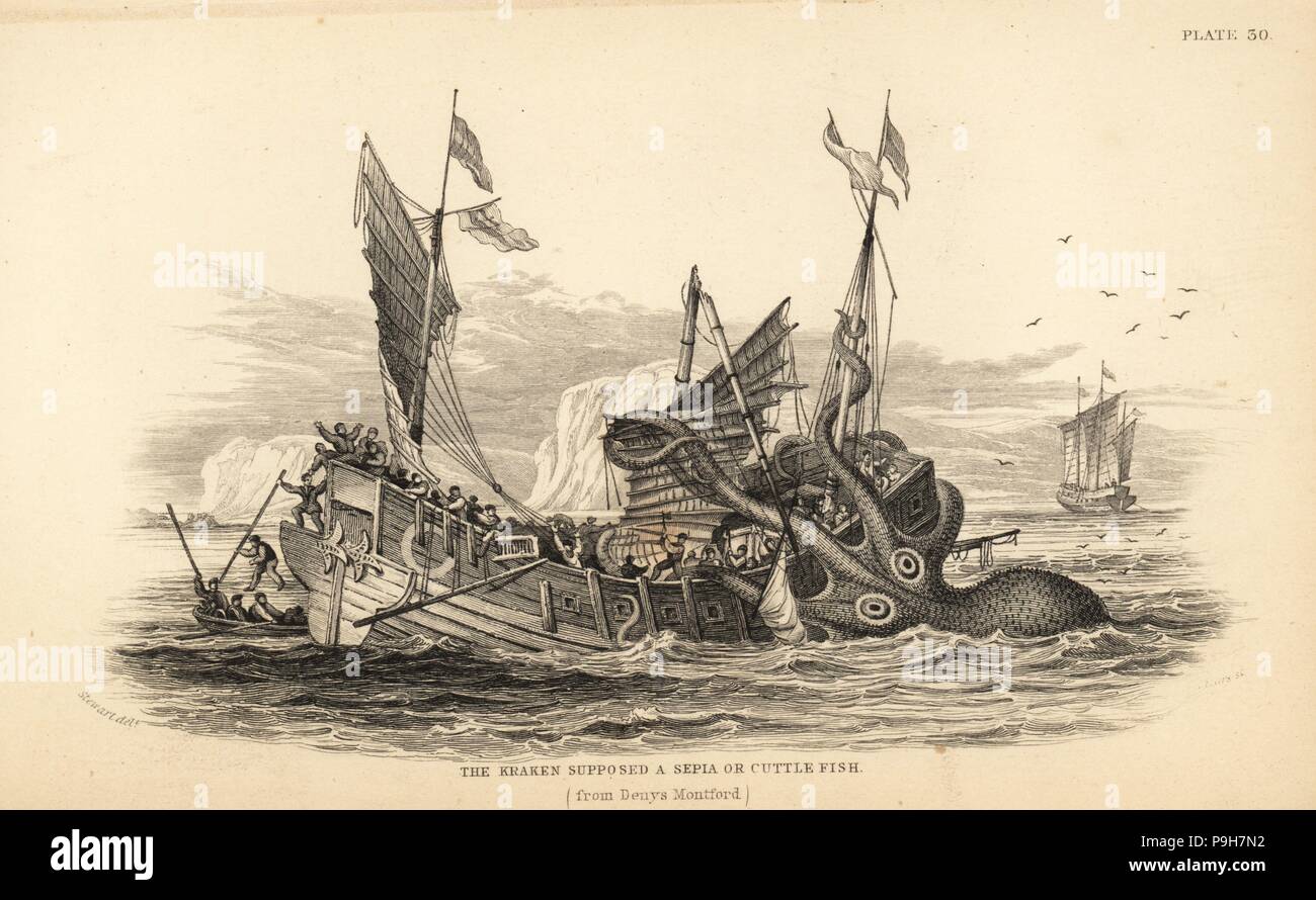Kraken or giant cuttlefish attacking a fishing boat off the coast of Angola. After a description by Pierre Denys de Montfort in his Natural History of the Mollusca. Probably a giant squid, Architeuthis species. Steel engraving by W.H. Lizars after an illustration by James Stewart from Robert Hamilton's Amphibious Carnivora, part of Sir William Jardine's Naturalist's Library: Mammalia, Edinburgh, 1839. Stock Photo