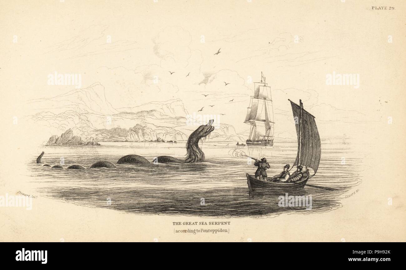 Great sea serpent shot at by the crew of Lawrence de Ferry in 1746. Described in Bishop Erik Pontoppidan's Natural History of Norway, 1752. Steel engraving by W.H. Lizars after an illustration by James Stewart from Robert Hamilton's Amphibious Carnivora, part of Sir William Jardine's Naturalist's Library: Mammalia, Edinburgh, 1839. Stock Photo