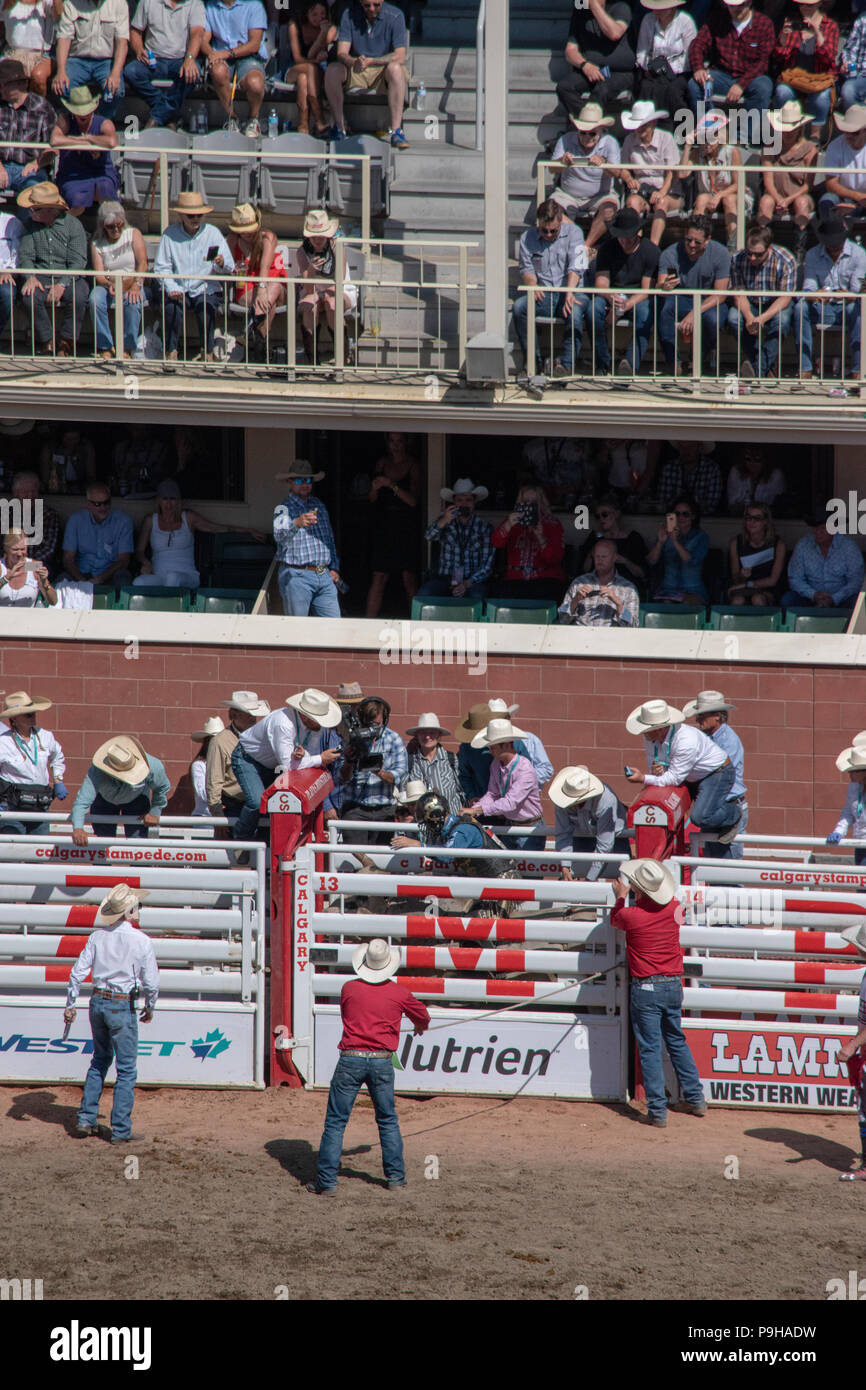 Bull Riding Event at the Calgary Stampede Rodeo, Stampede Grounds