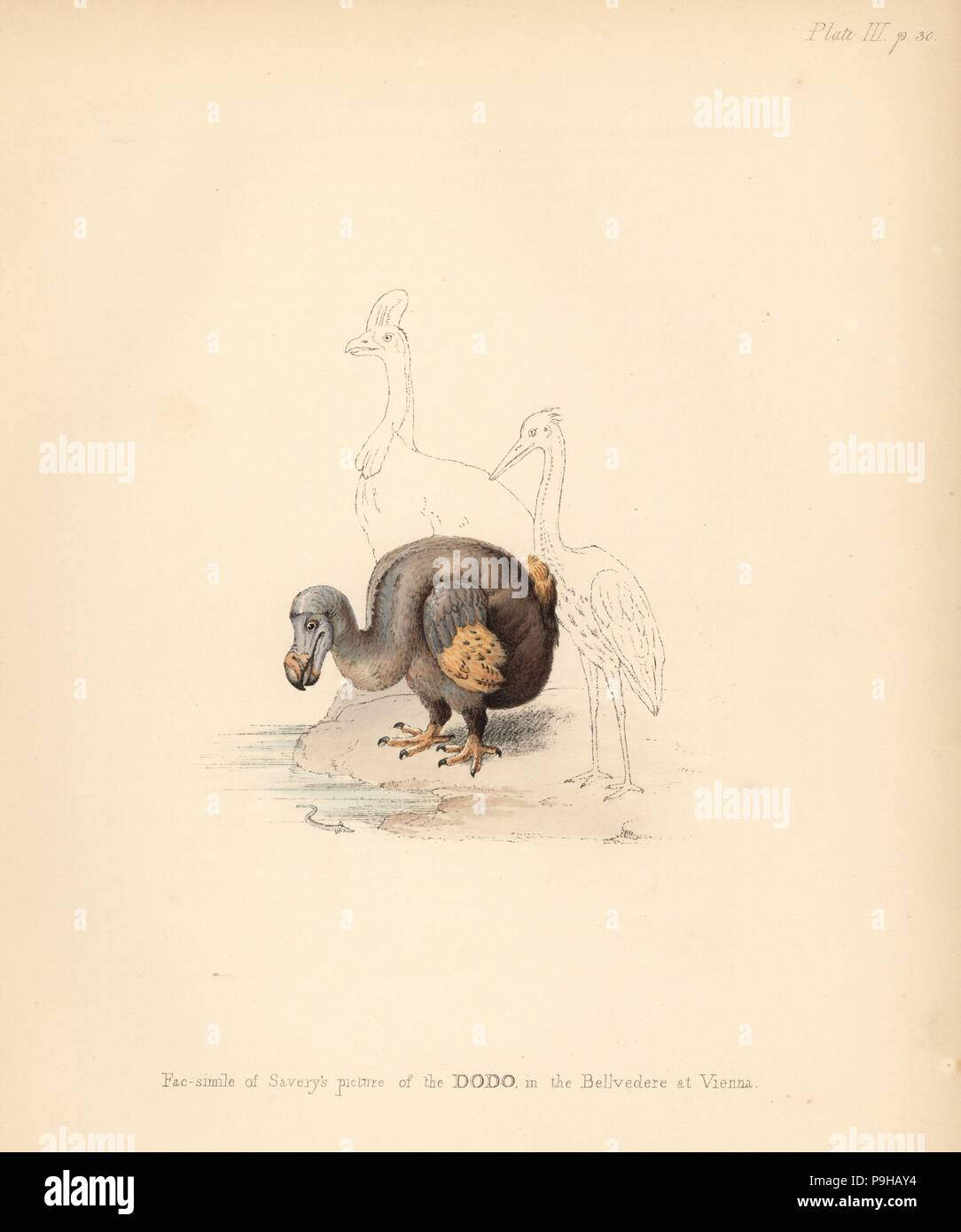 Facsimile of Roelandt Savery's picture of th…