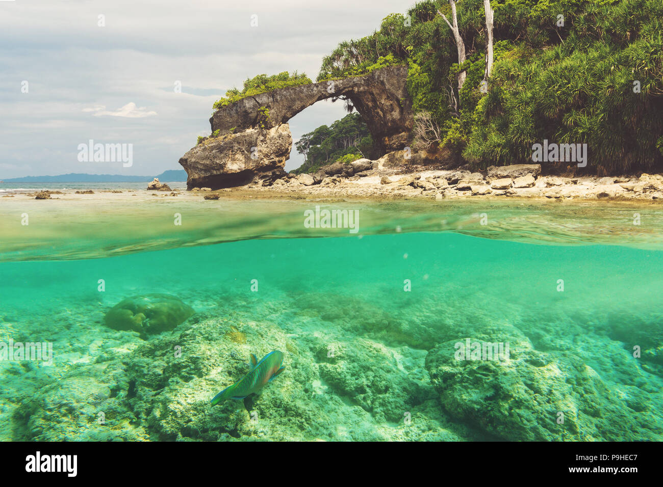 Natural bridge at Neil island, Andaman and Nicobar. Double photo under water and over water Natural bridge at Neil island, Andaman and Nicobar. Double photo under water and over water