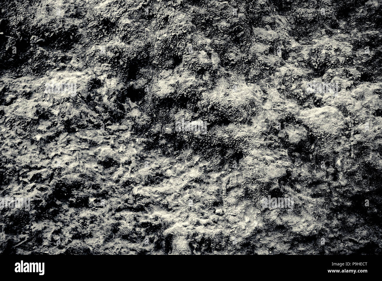 Dark grey black slate background or texture. Stock Photo