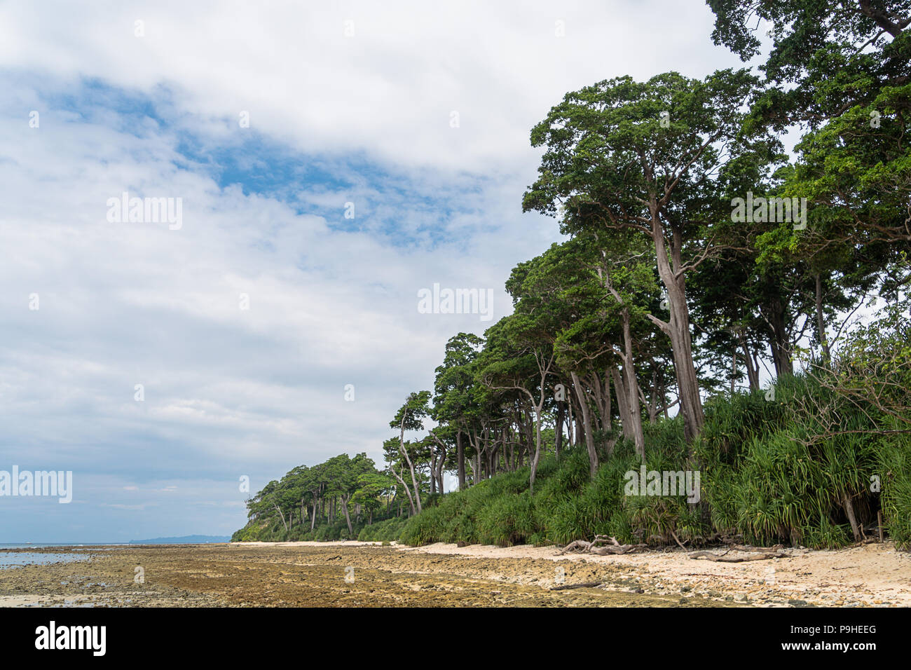 Stunning view of Neil Island with trees and bushes in the foreground. Neil Island is a beautiful small island belonging to the Andaman Nicobar Islands Stock Photo
