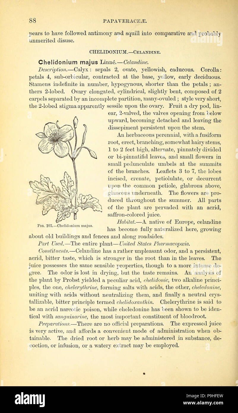 A manual of the medical botany of North America (Page 88, Fig. 103 ...