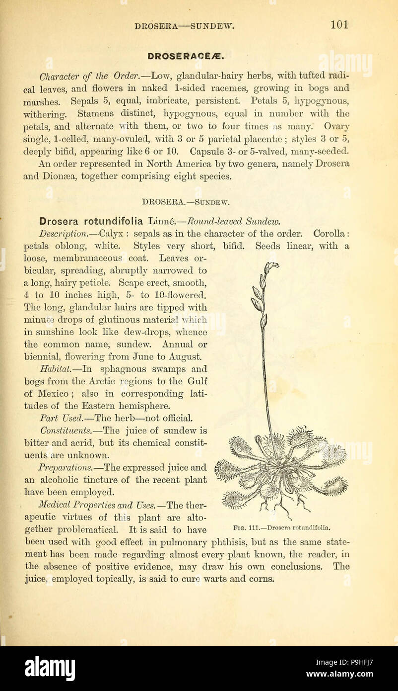 A manual of the medical botany of North America (Page 101, Fig. 111 ...