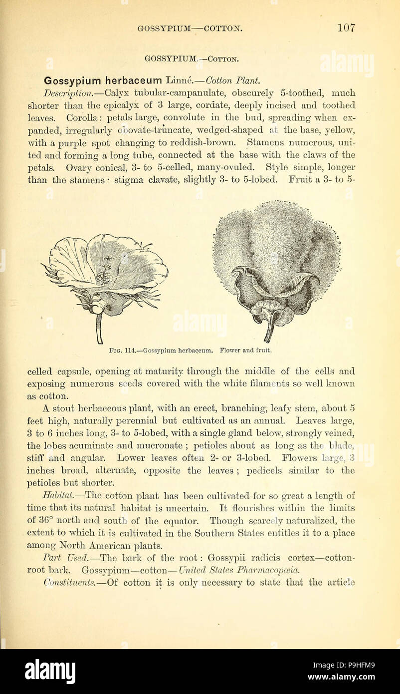A manual of the medical botany of North America (Page 107, Fig. 114 ...