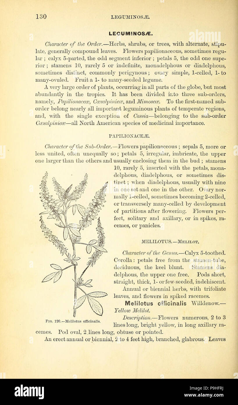 A manual of the medical botany of North America (Page 130, Fig. 120 ...