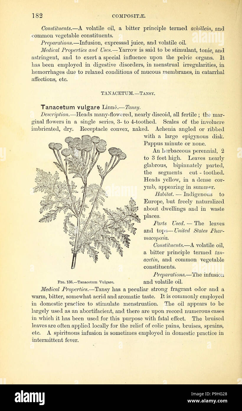 A manual of the medical botany of North America (Page 182, Fig. 136 ...