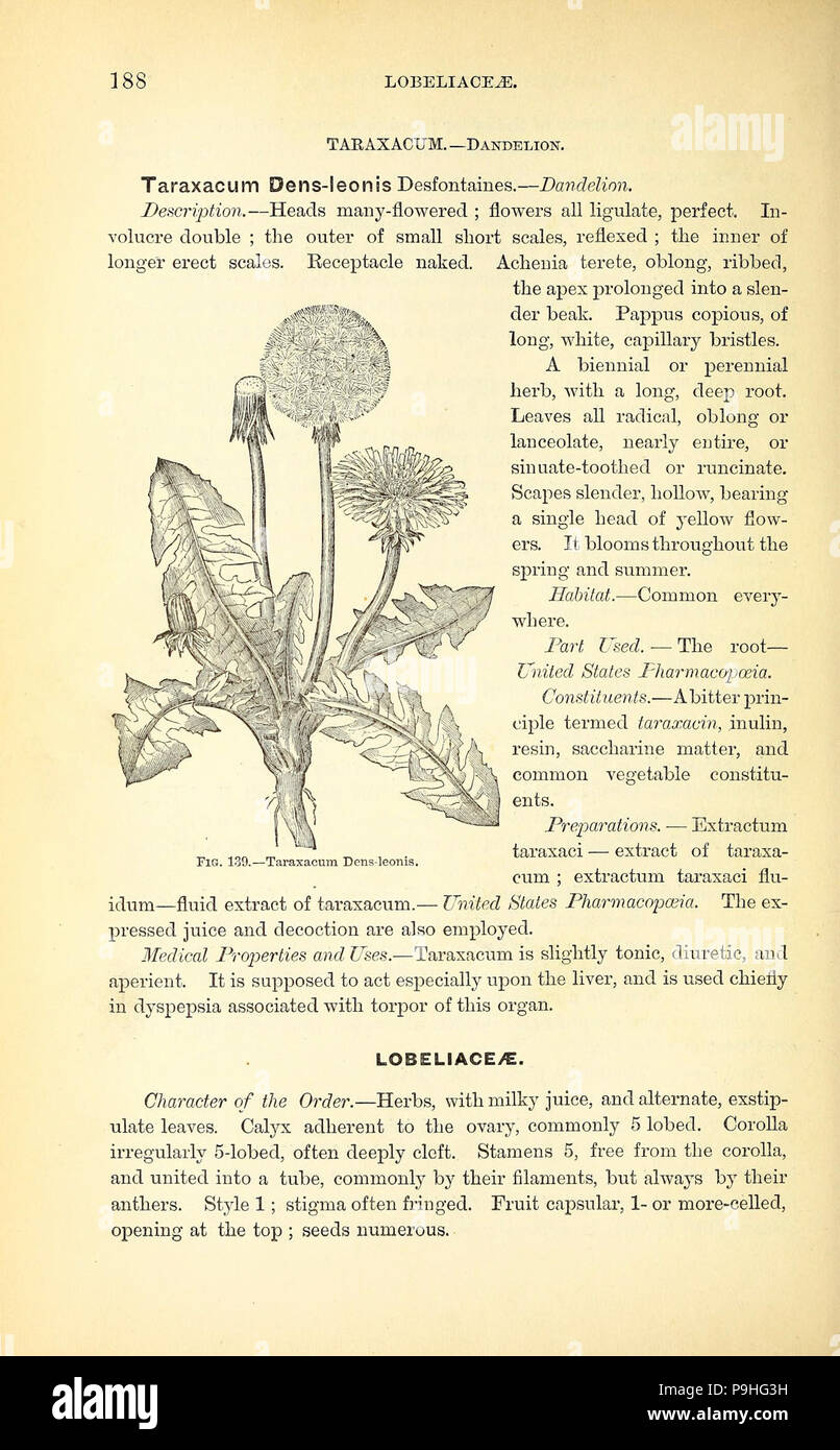 A manual of the medical botany of North America (Page 188, Fig. 139 ...