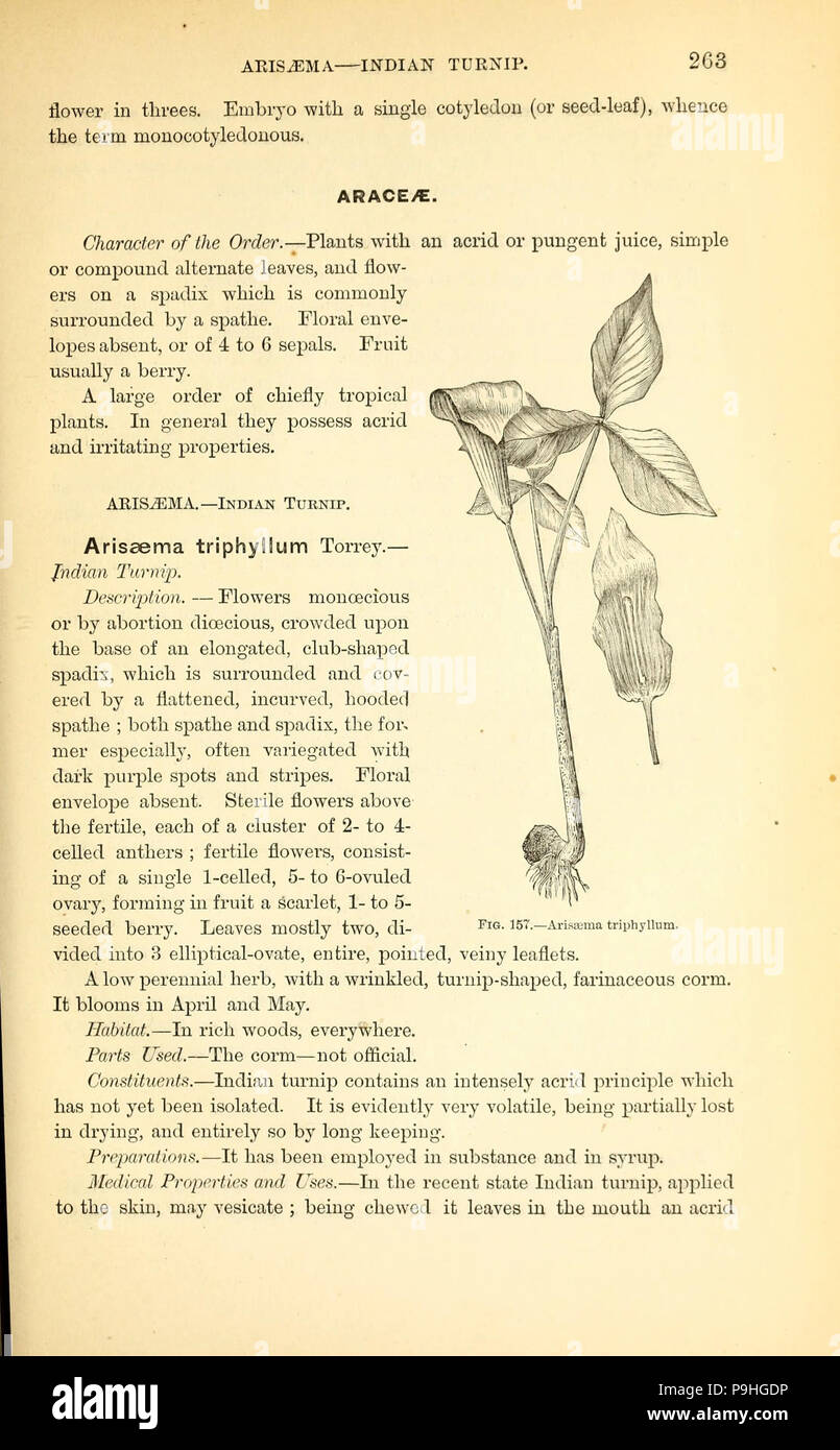 A manual of the medical botany of North America (Page 263, Fig. 157 ...