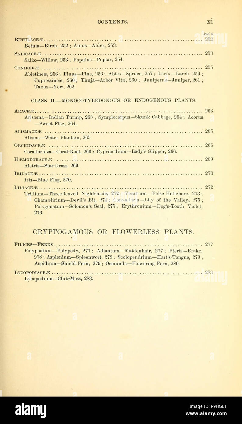 A manual of the medical botany of North America (Page xi Stock Photo ...