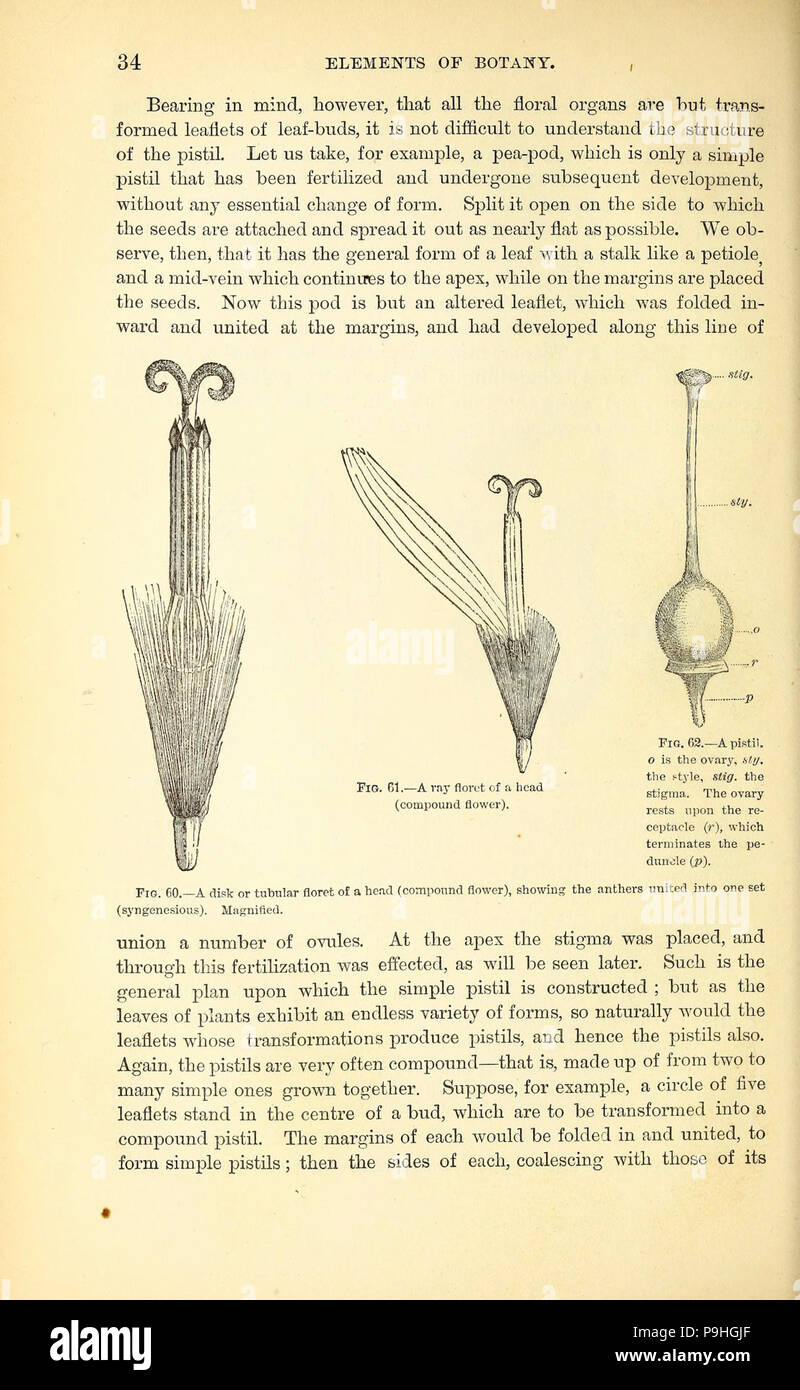 Manual on medical botany hi-res stock photography and images - Alamy