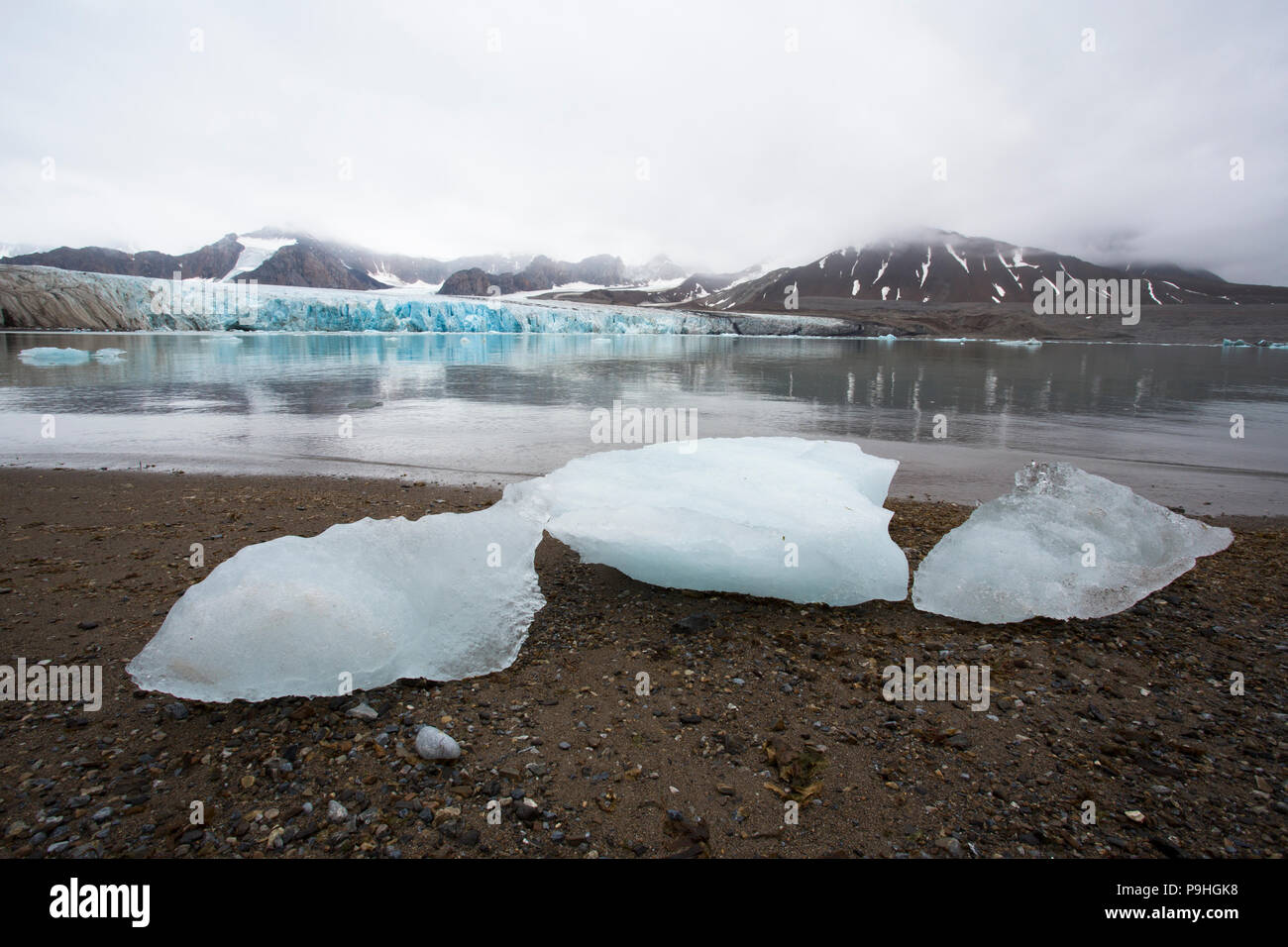 Glacial ice on the shore with Fourteenth of July Glacier in the background, Svalbard Stock Photo