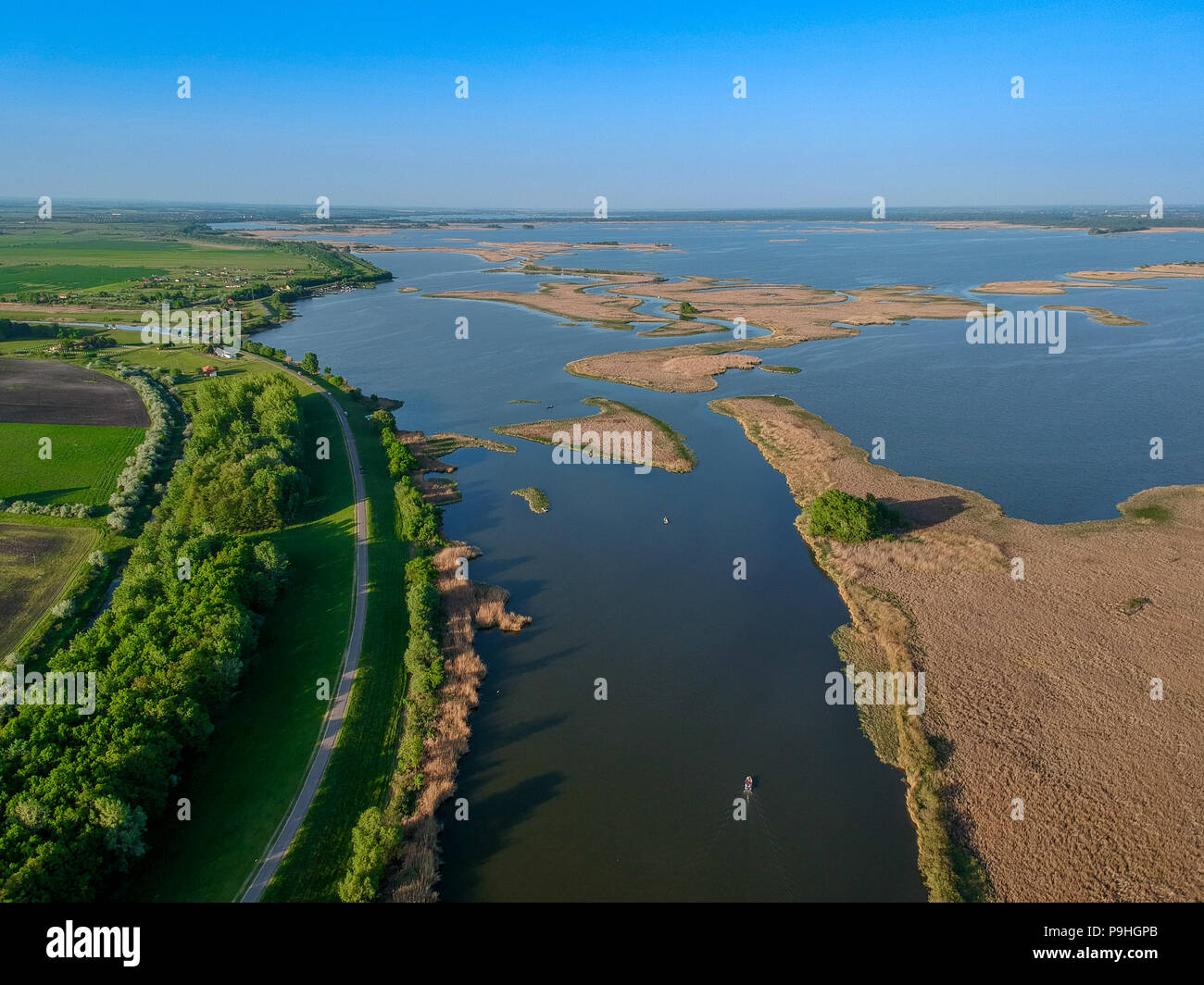 Reed on lake Tiszato in Hungary, Europe Stock Photo