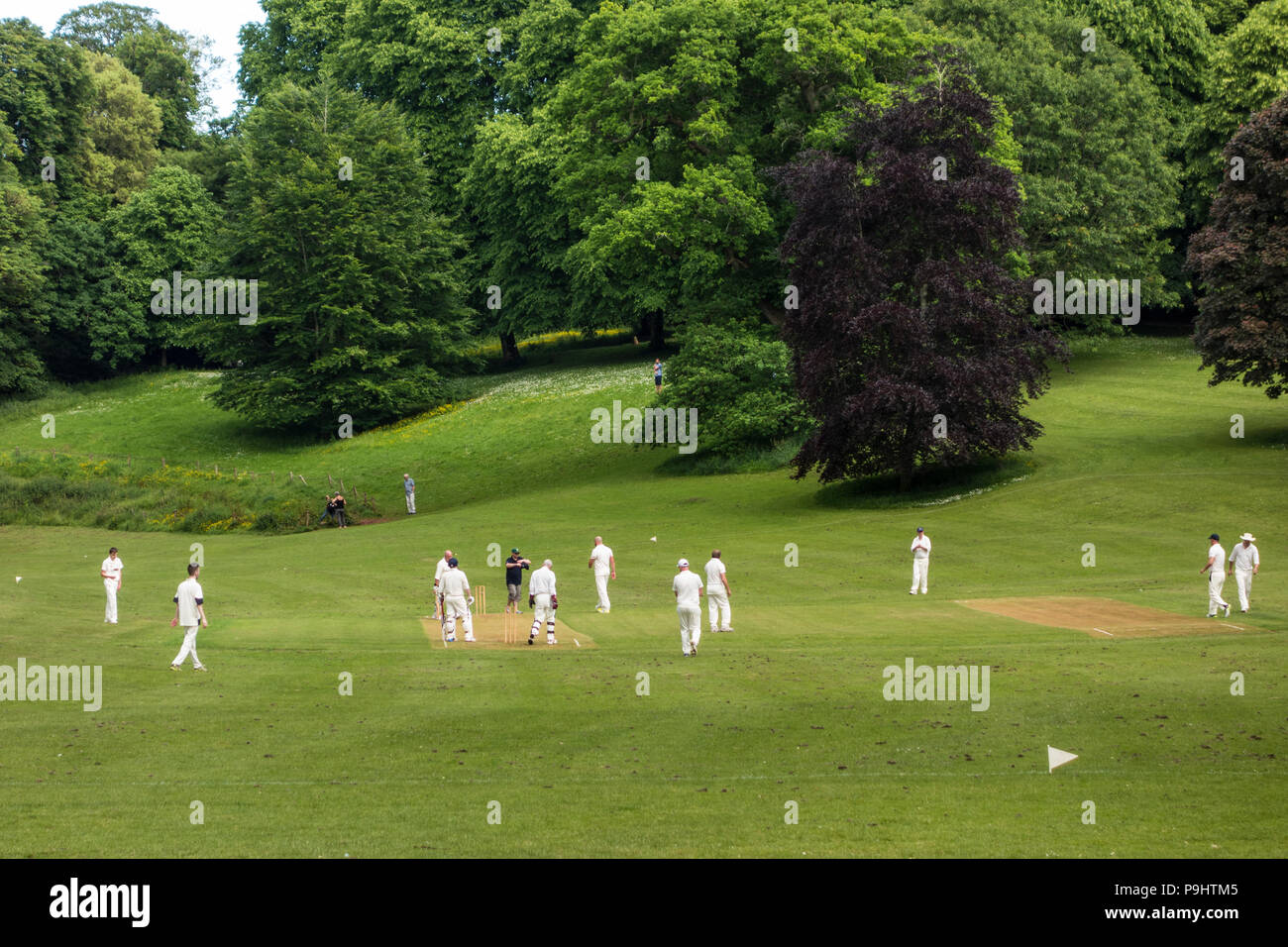 Players on the cricket grounds, Cockington Village, Torquay, Devon, UK Stock Photo