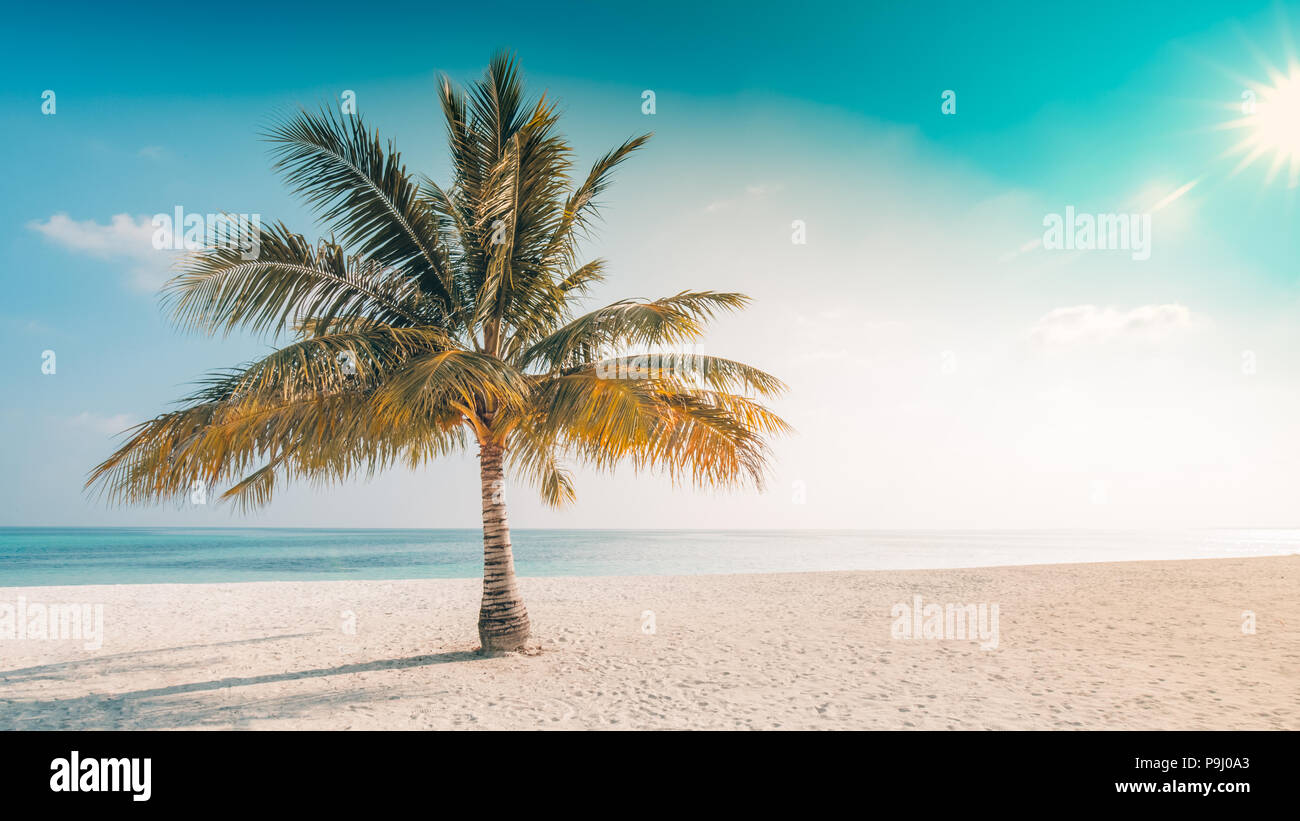 Tropical beach scenery palm hi-res stock photography and images - Alamy
