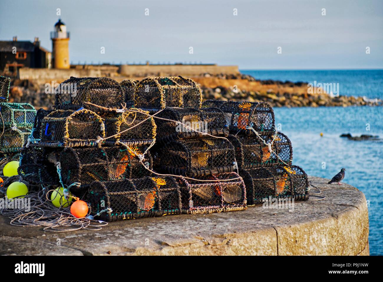 Lobster  Baskets at PortPatrick a Scottish coastal village in South West Scotland in summer evening light July 2018. Stock Photo