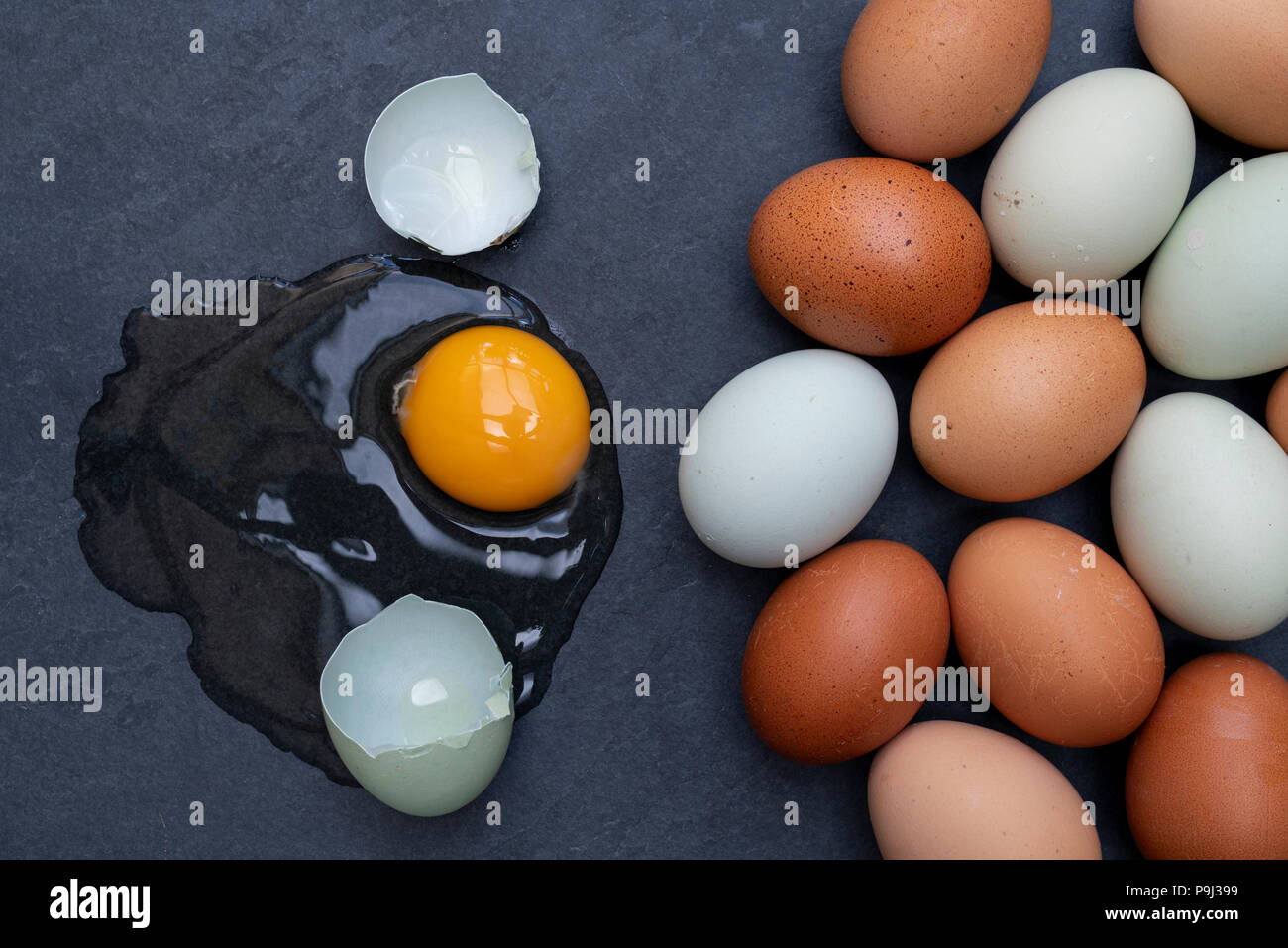 Bluebell araucana and chestnut maran eggs with a raw egg and shells on a slate background Stock Photo