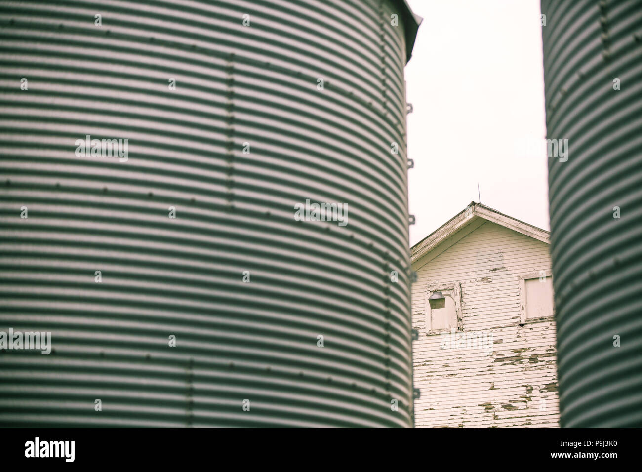 View through the silos of the old white barn. Stock Photo