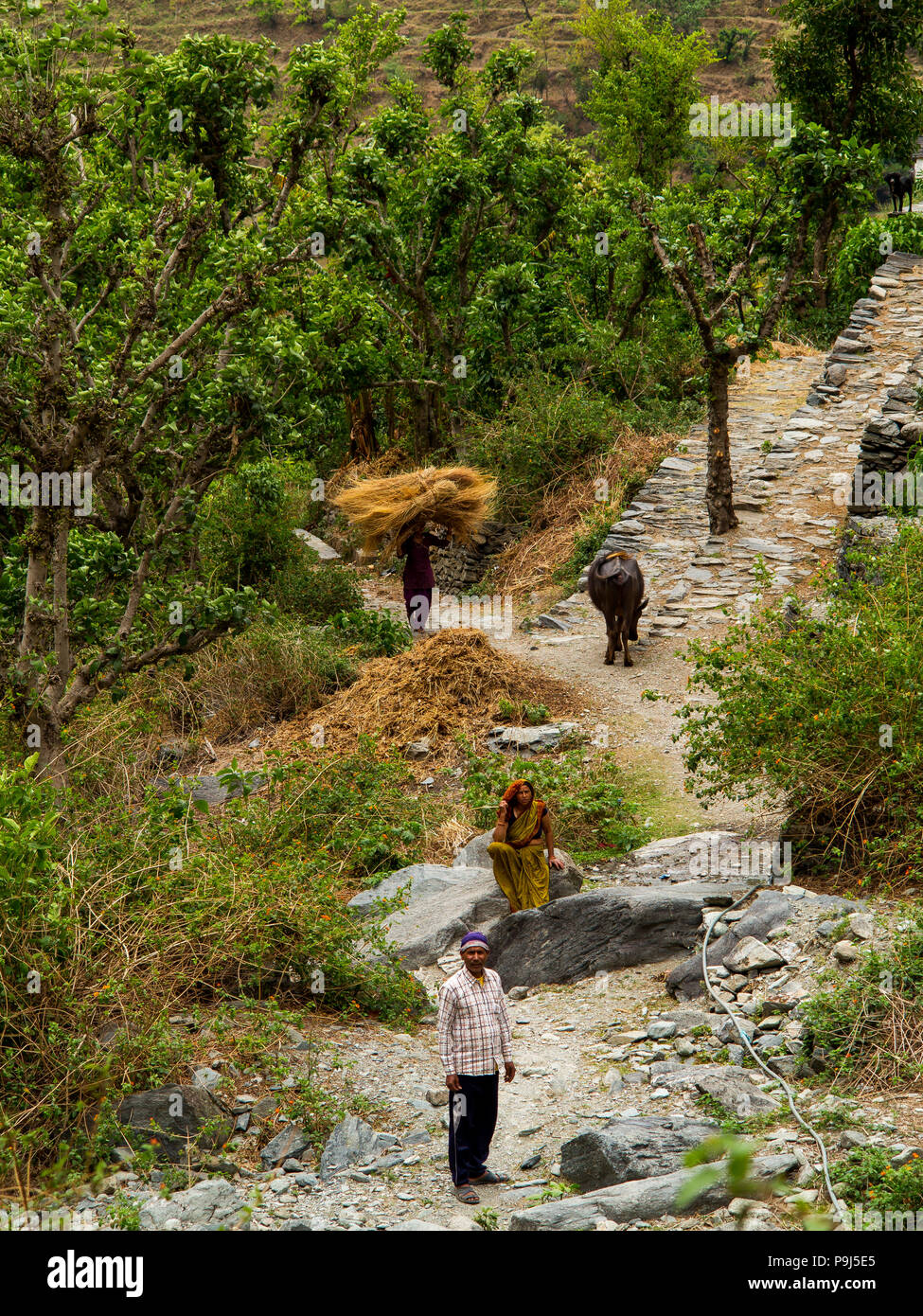 Indian people living at the beggining of Nandhour Valley near Dalkanya village, Kumaon Hills, Uttarakhand, India Stock Photo