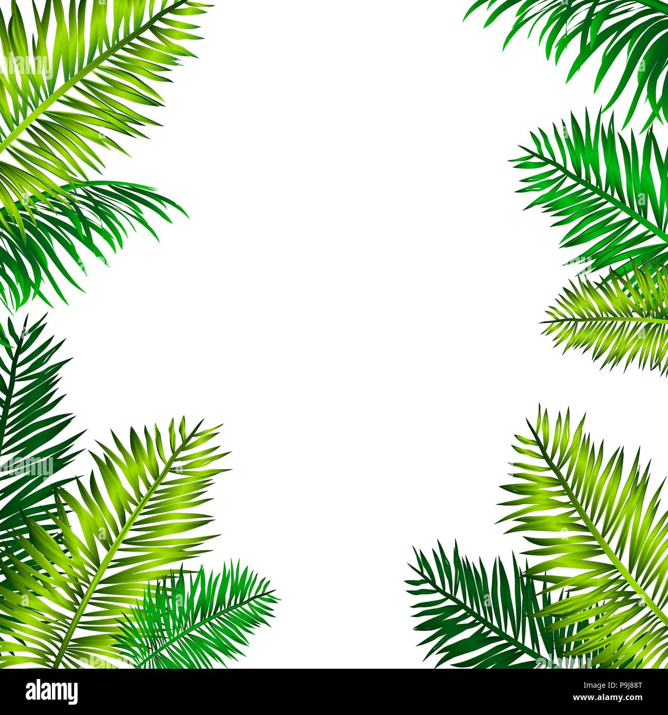 Vector illustration. Tropical frame with palm leaves and space for your ...