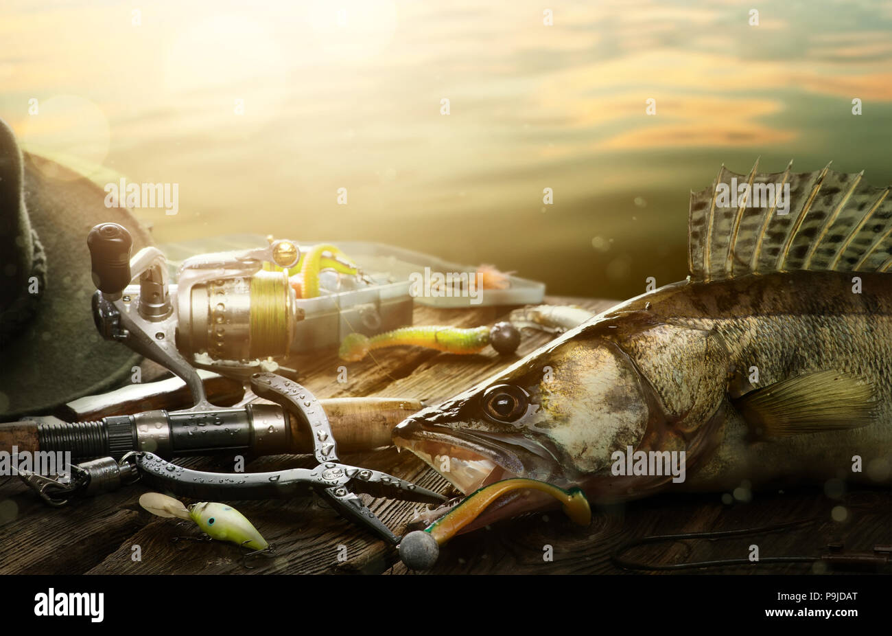 Banner Fish Fishing Design Web Stock Photos Banner Fish Fishing