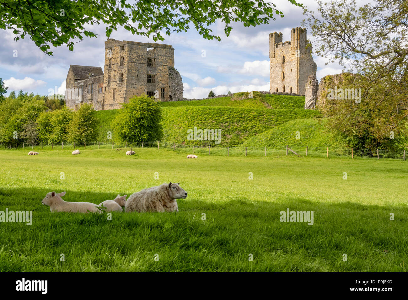 Helmsley Castle from Park Stock Photo Alamy