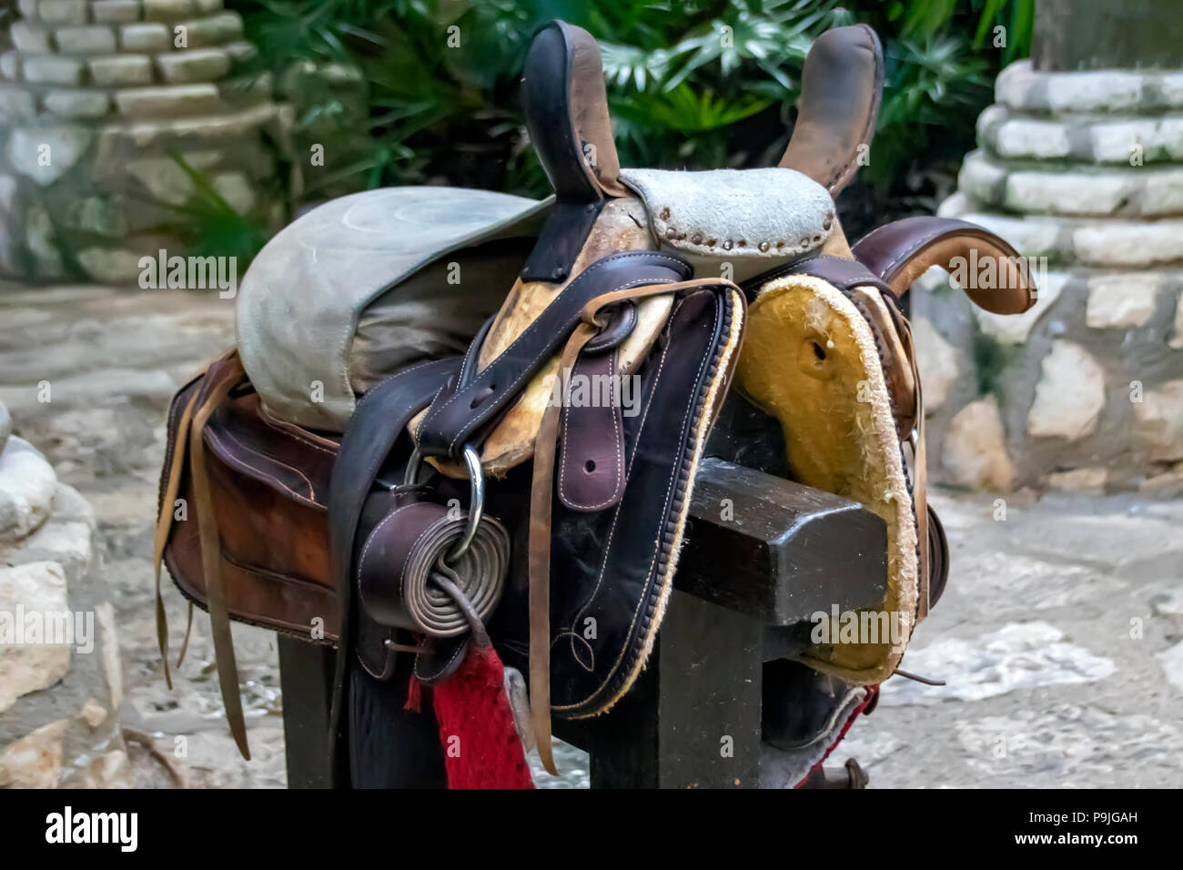 Old horse harness hi-res stock photography and images - Alamy
