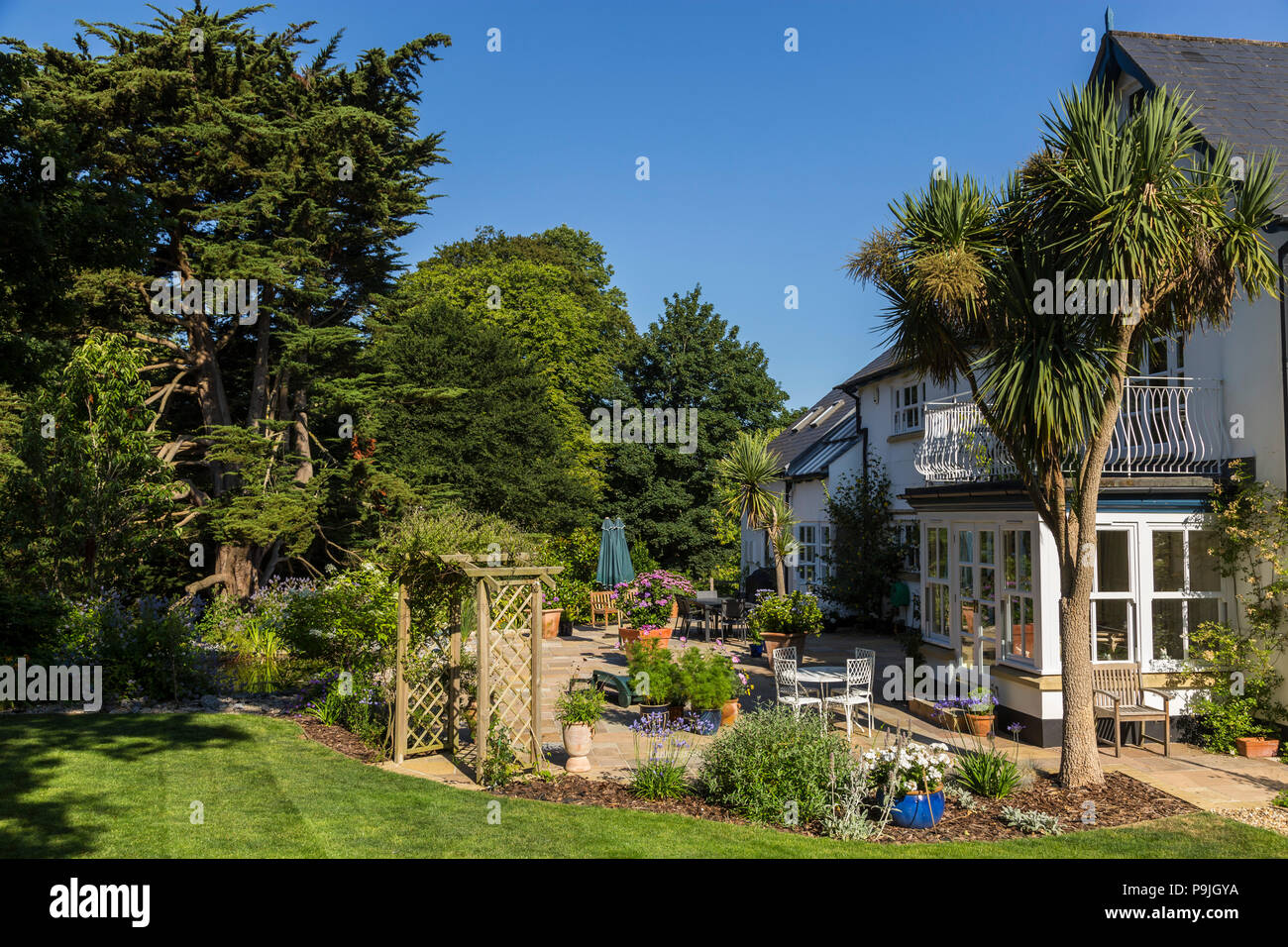 Garden scene in Devon, lawn,patio,chairs,tables,cordyline australis,monterey cyprus tree,blue sky,sunny.balcony,white house,roses, Stock Photo