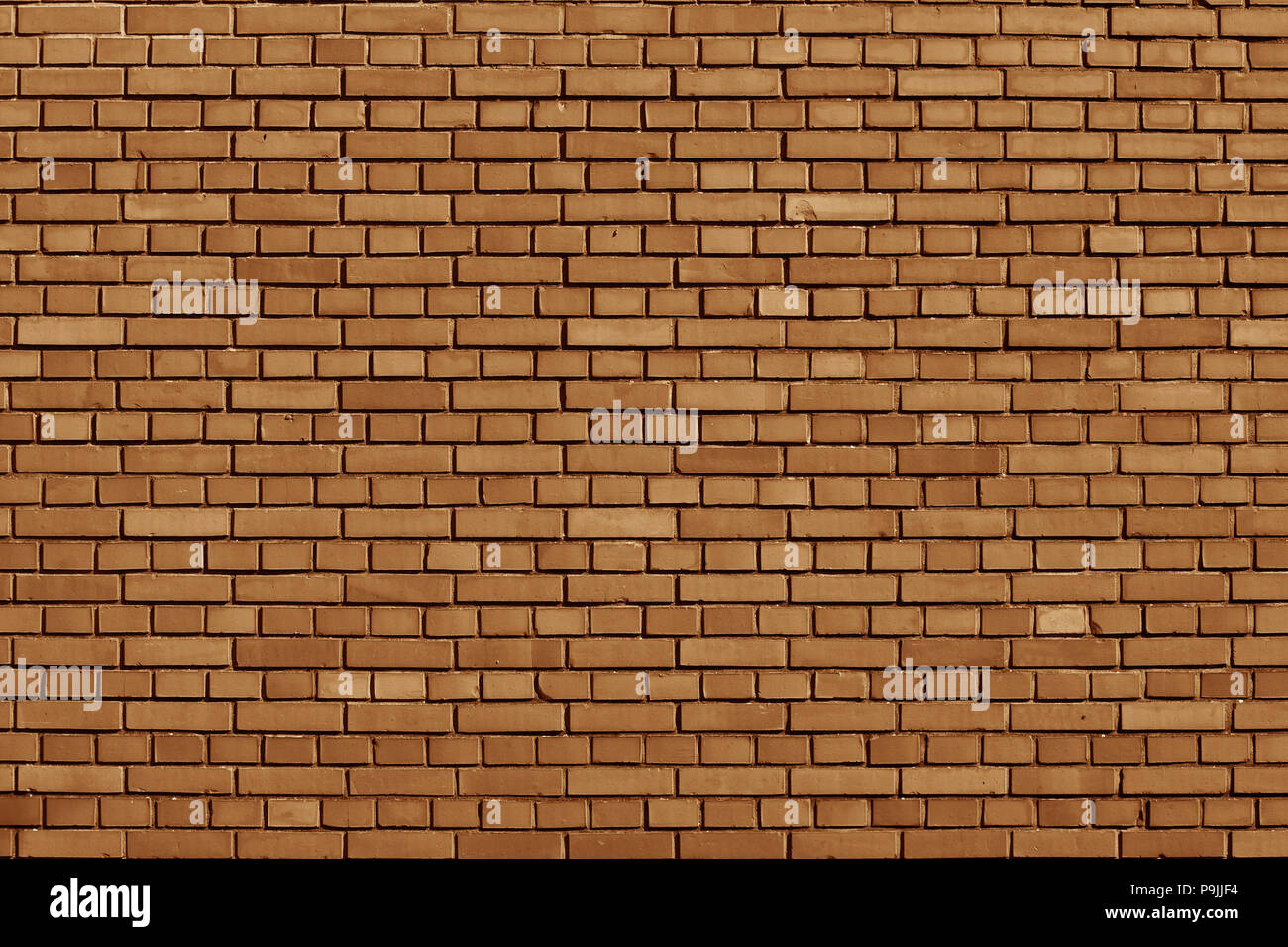 Meerkat colored brick wall background Stock Photo