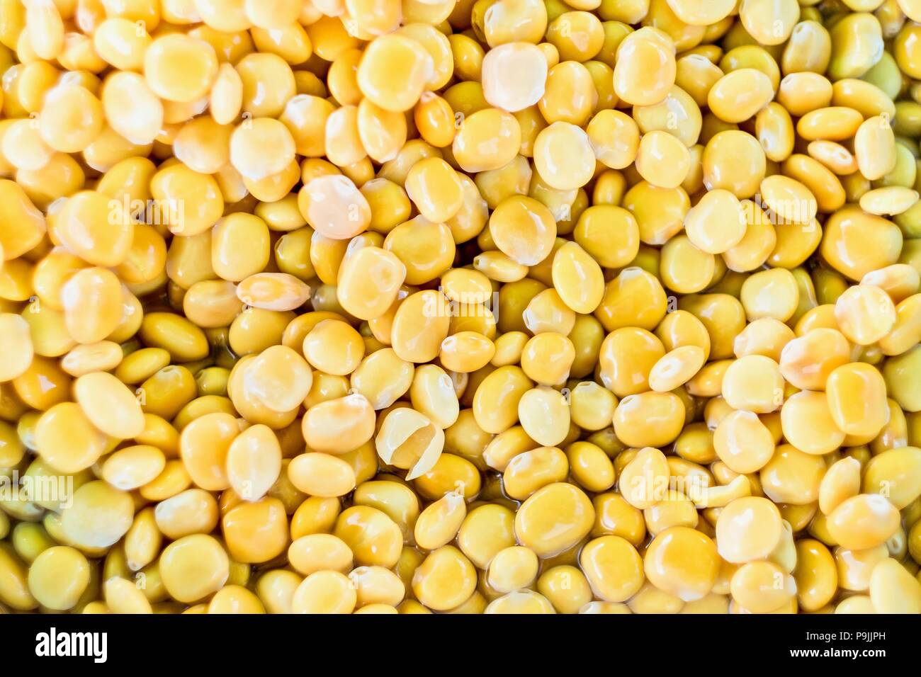 Lupin beans in salted water, background image Stock Photo