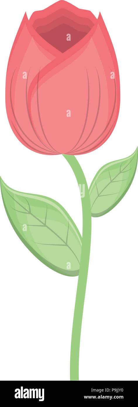 rose icon over white background, vector illustration Stock Vector Image ...