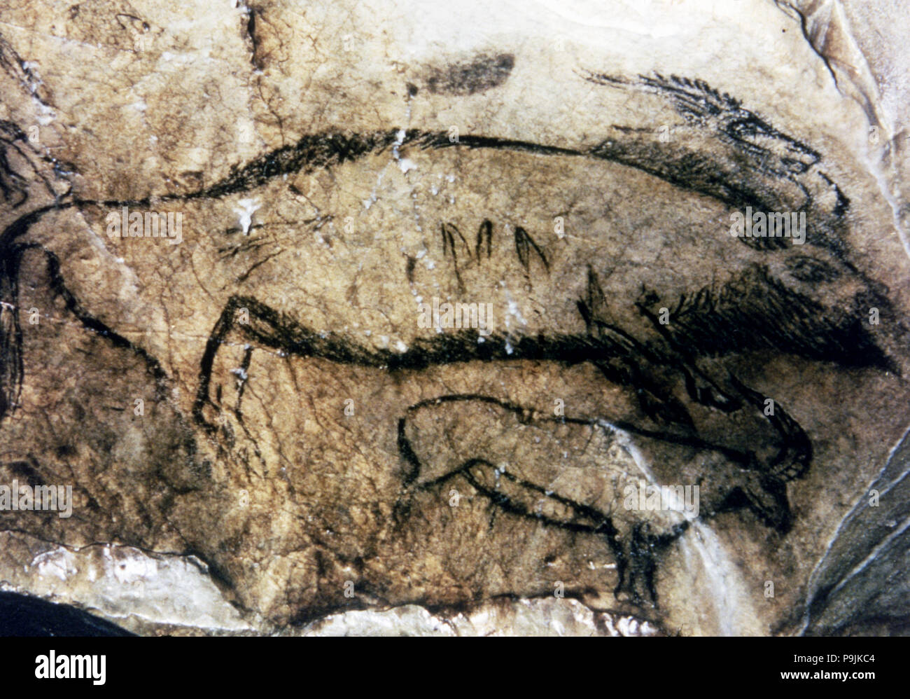 Panel 5, No. 94 Black Hall (Niaux cave): it has been interpreted as a dead female bison, by the o… Stock Photo