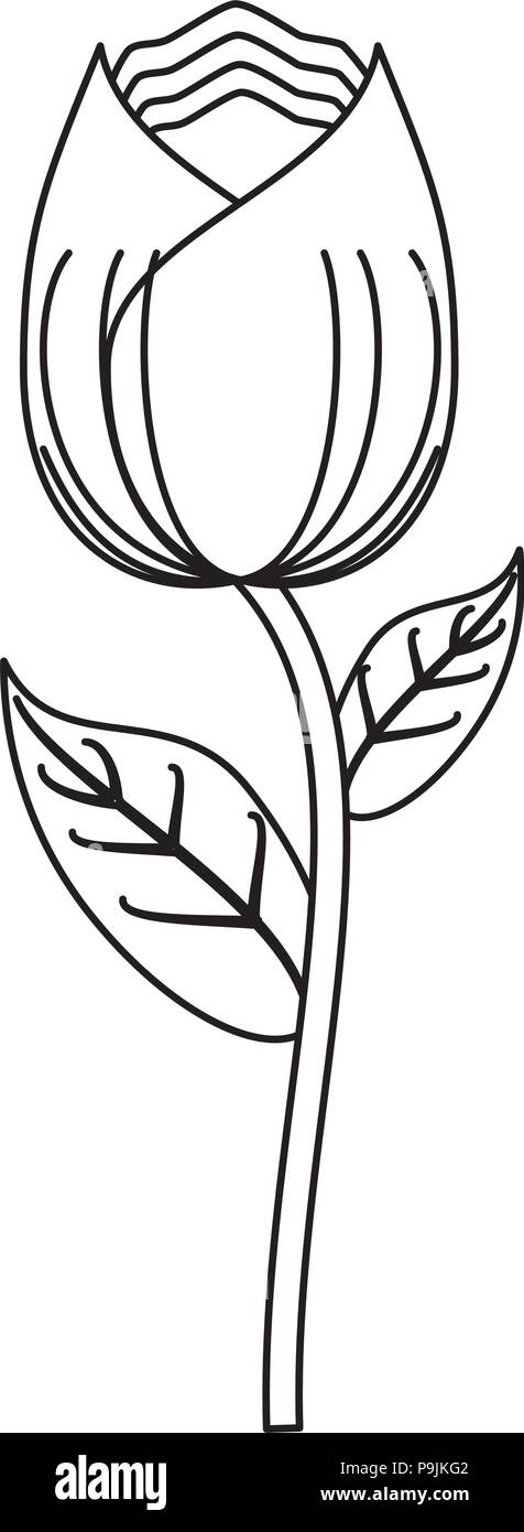 rose icon over white background, vector illustration Stock Vector Image ...
