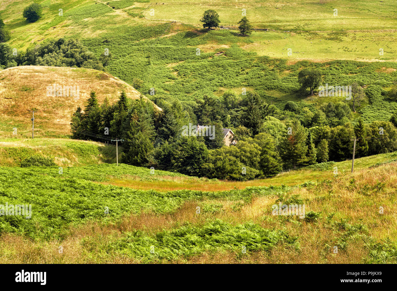 Picturesque view over Glen Devon, Scottish countryside Stock Photo